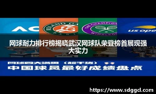 网球耐力排行榜揭晓武汉网球队荣登榜首展现强大实力