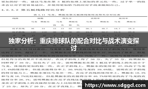 独家分析：重庆排球队的配合对比与战术演变探讨