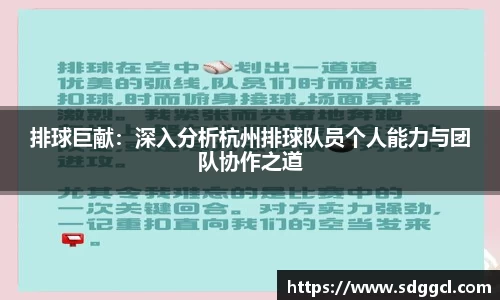 排球巨献：深入分析杭州排球队员个人能力与团队协作之道
