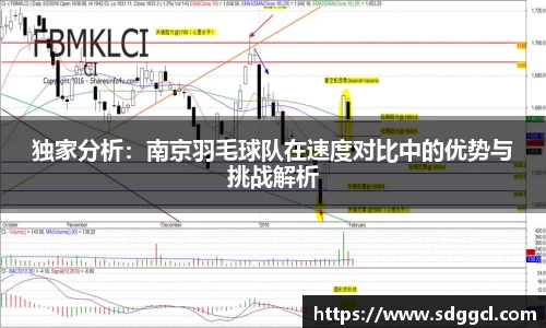 独家分析：南京羽毛球队在速度对比中的优势与挑战解析