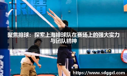 聚焦排球：探索上海排球队在赛场上的强大实力与团队精神