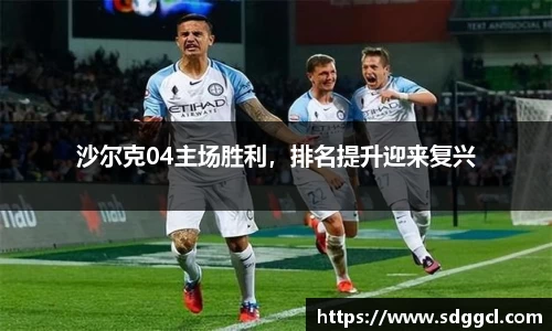沙尔克04主场胜利，排名提升迎来复兴
