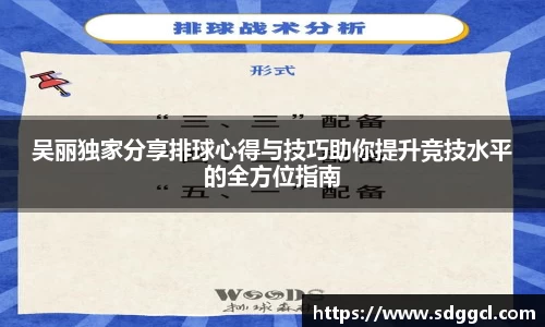吴丽独家分享排球心得与技巧助你提升竞技水平的全方位指南