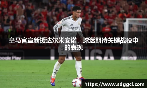 皇马官宣新援达尔米安诺，球迷期待关键战役中的表现