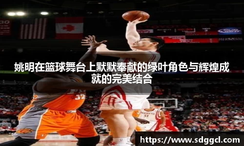 姚明在篮球舞台上默默奉献的绿叶角色与辉煌成就的完美结合