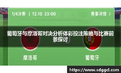 葡萄牙与摩洛哥对决分析体彩投注策略与比赛前景探讨