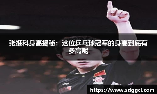 张继科身高揭秘：这位乒乓球冠军的身高到底有多高呢
